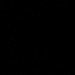 Meet your Posher, Injun